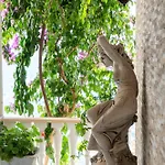 Seven - Beachfront By The Sea, Velebit, Nature Villa *
